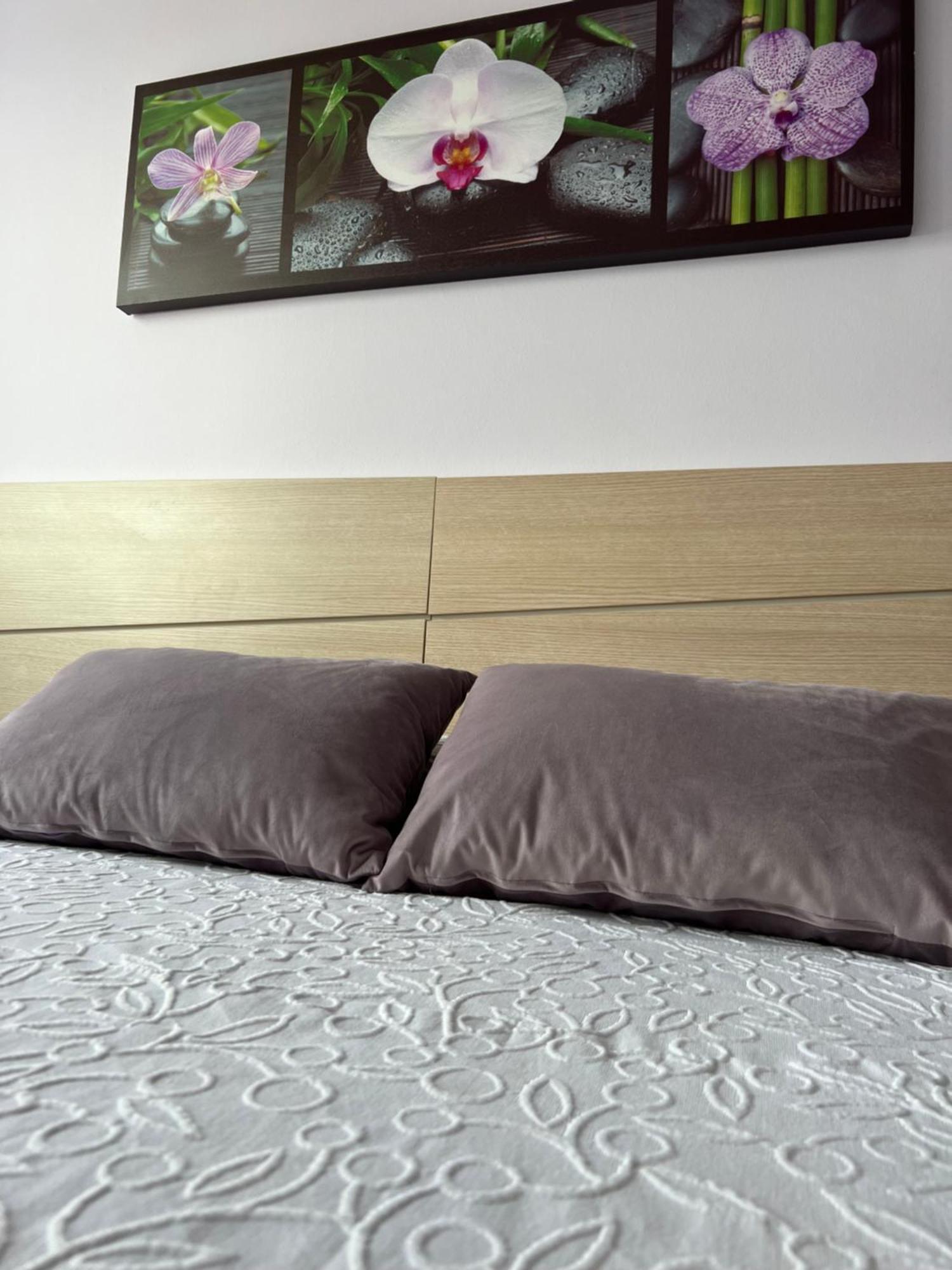 Marusia Apartamento مالبيسا المظهر الخارجي الصورة